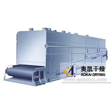 DW Series Mesh-Belt Dryer